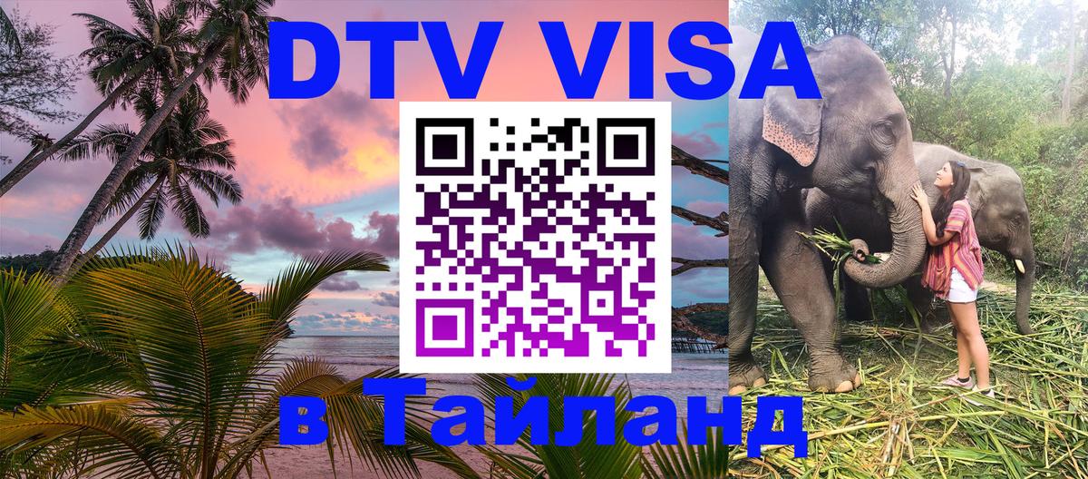Сколько стоит DTV виза — актуальные цены, оформление даже без документов - Калининград 